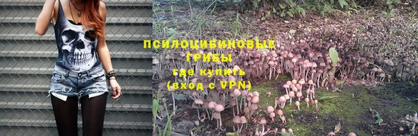 мяу мяу мука Абдулино